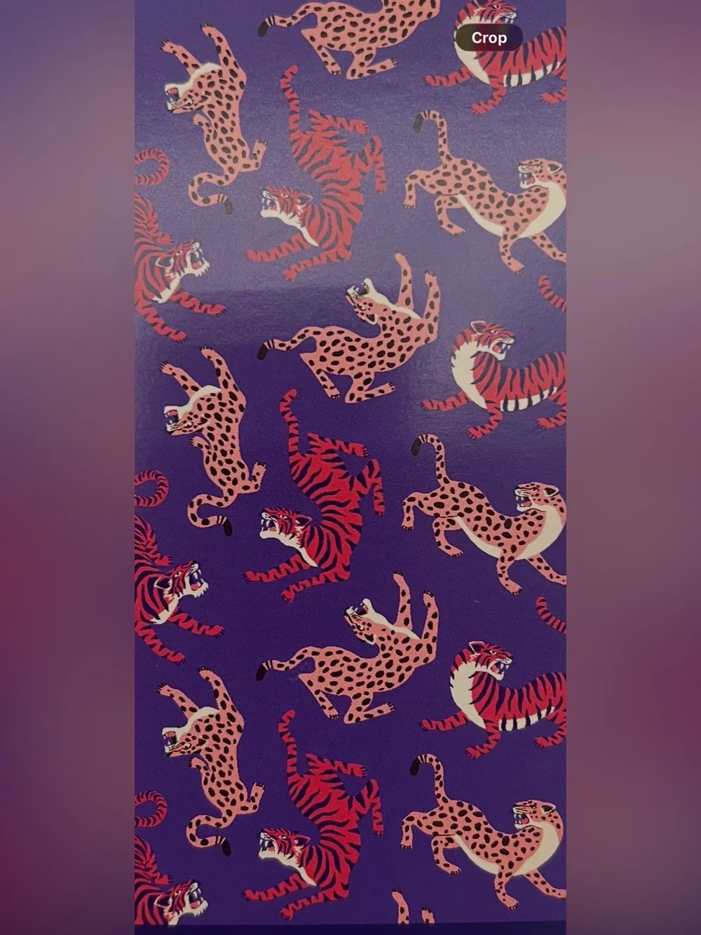 Ferocious Big Cat Tiger Leopard Beach Towel 🐆 🐅